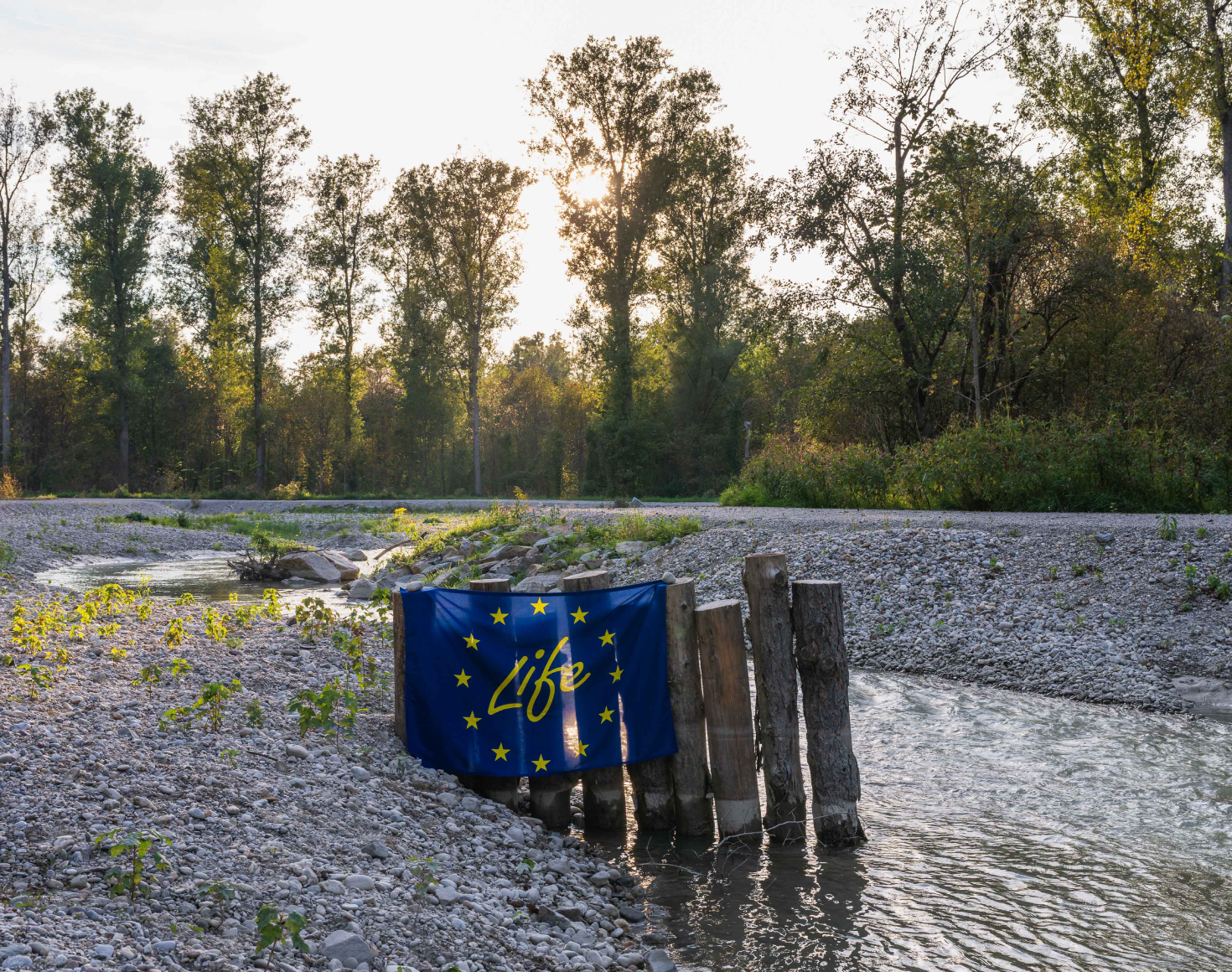 Das Bild zeigt den Beginn für die neue Fischwanderhilfe beim Kraftwerk Egglfing-Obernberg. Im Vordergrund ist eine Holzstruktur im Wasser mit einer EU-Flagge, auf der "Life" steht. Im Hintergrund sind Bäume bei Sonnenuntergang sichtbar.