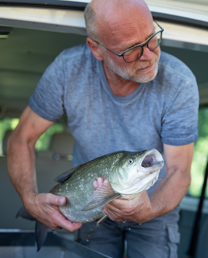 Individual in a blue tee-shirt proudly holding a large fish in their hands.